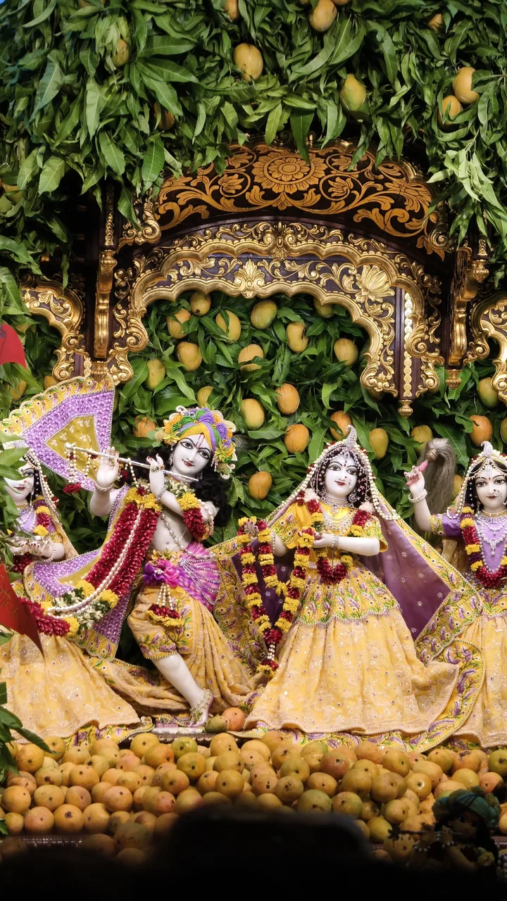 Radha-Krishna deity darshan with mango leaves